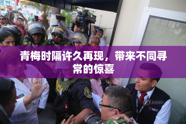 青梅时隔许久再现，带来不同寻常的惊喜