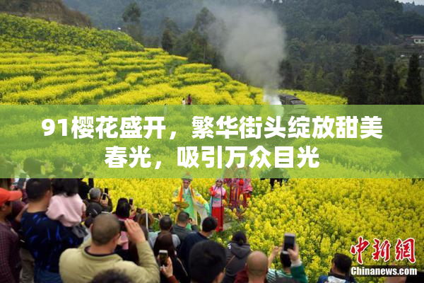 91樱花盛开，繁华街头绽放甜美春光，吸引万众目光