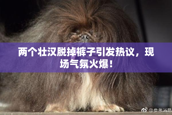 两个壮汉脱掉裤子引发热议，现场气氛火爆！