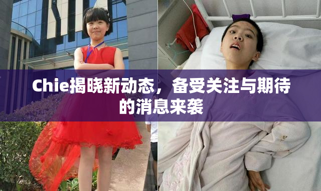 Chie揭晓新动态，备受关注与期待的消息来袭