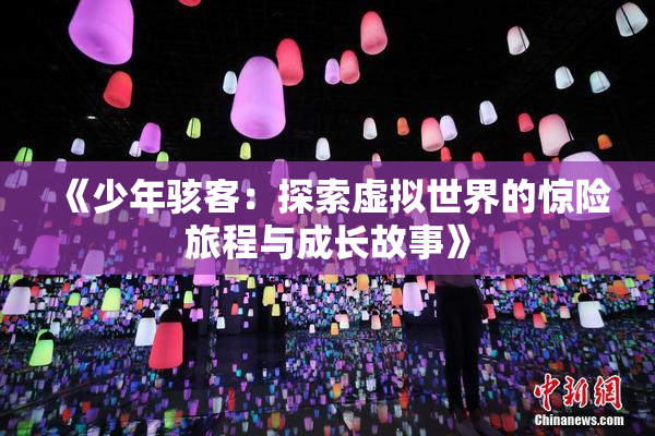 《少年骇客：探索虚拟世界的惊险旅程与成长故事》
