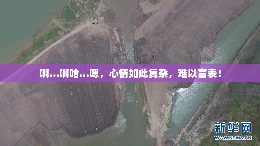 啊…啊哈…嗯，心情如此复杂，难以言表！