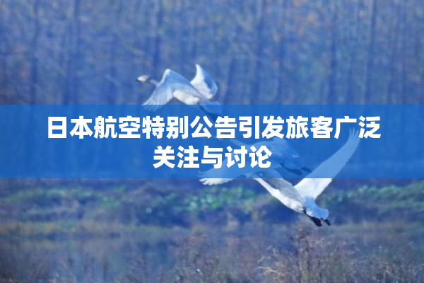 日本航空特别公告引发旅客广泛关注与讨论