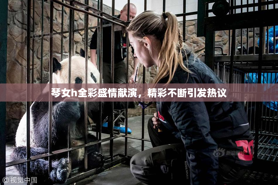 琴女h全彩盛情献演，精彩不断引发热议