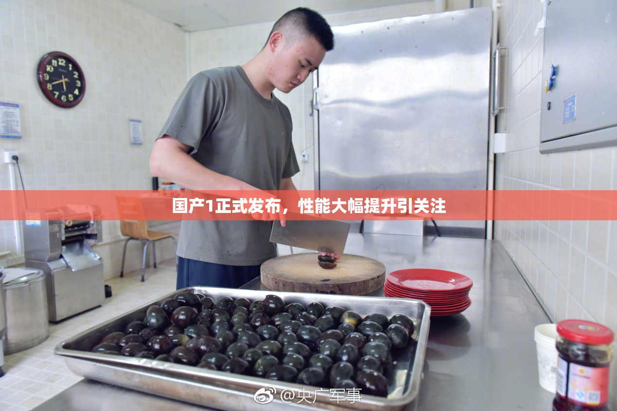 国产1正式发布，性能大幅提升引关注