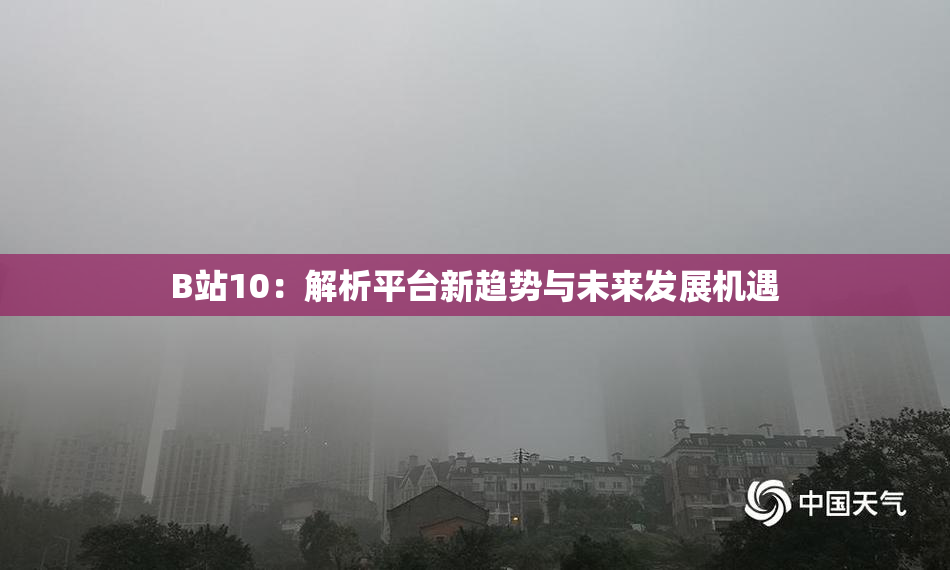 B站10：解析平台新趋势与未来发展机遇
