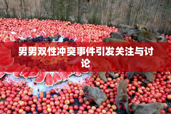 男男双性冲突事件引发关注与讨论