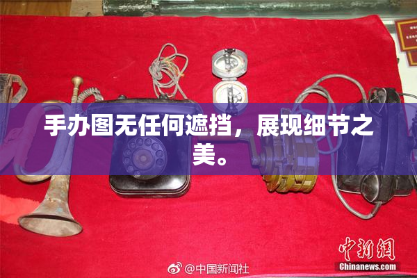 手办图无任何遮挡，展现细节之美。