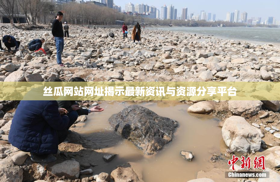 丝瓜网站网址揭示最新资讯与资源分享平台