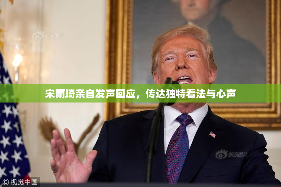 宋雨琦亲自发声回应，传达独特看法与心声