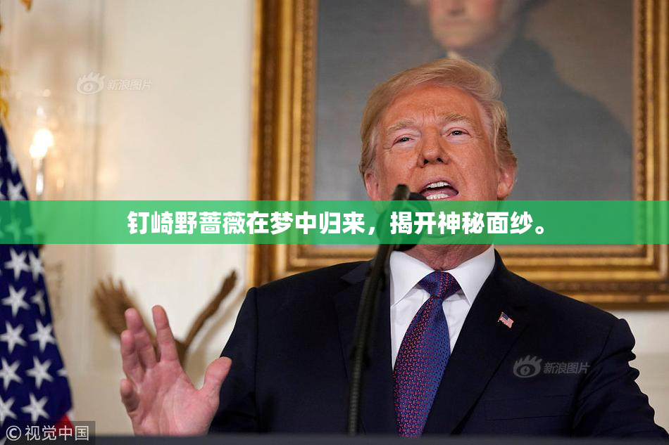 钉崎野蔷薇在梦中归来，揭开神秘面纱。