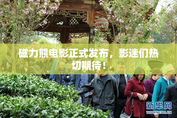 磁力熊电影正式发布，影迷们热切期待！