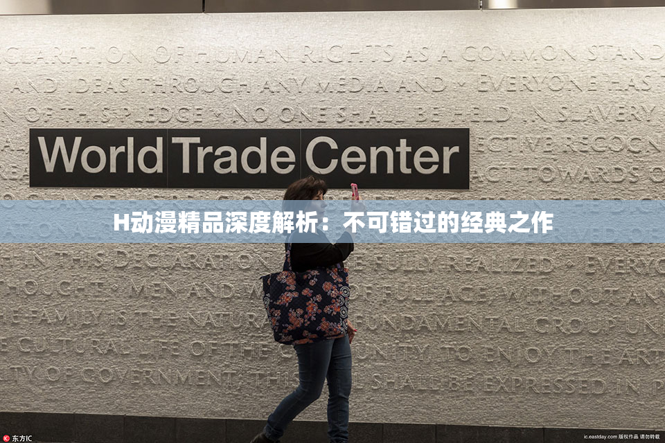 H动漫精品深度解析：不可错过的经典之作
