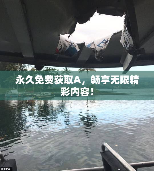 永久免费获取A，畅享无限精彩内容！