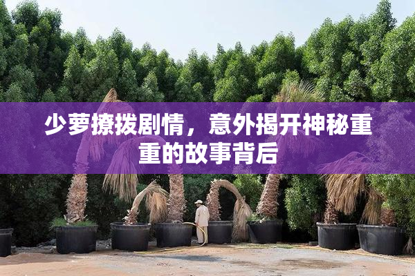 少萝撩拨剧情，意外揭开神秘重重的故事背后