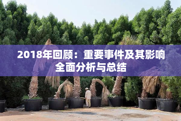 2018年回顾：重要事件及其影响全面分析与总结