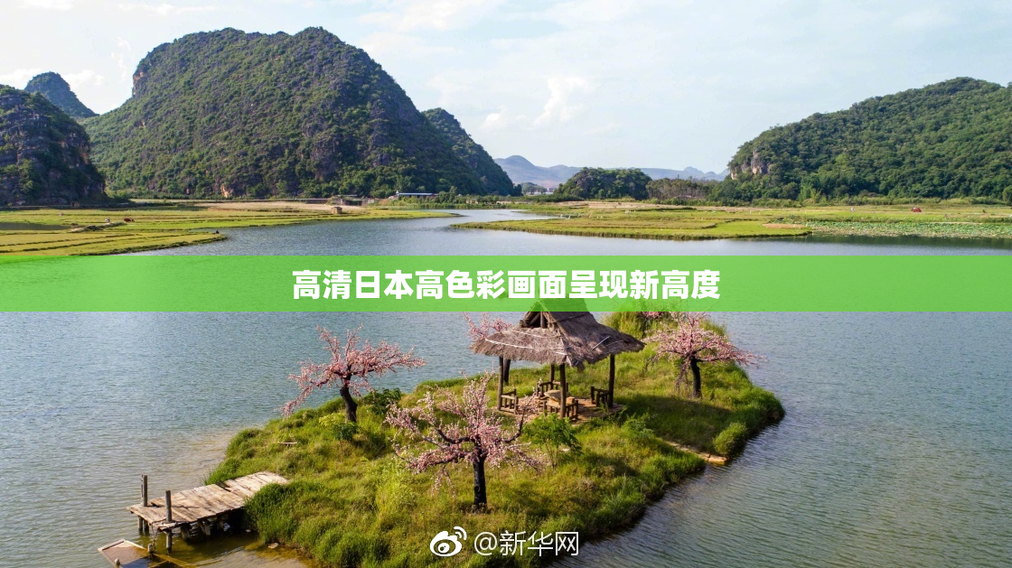 高清日本高色彩画面呈现新高度
