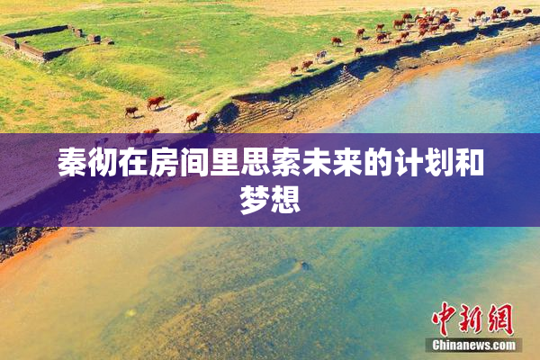 秦彻在房间里思索未来的计划和梦想