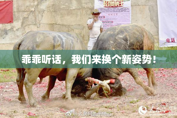乖乖听话，我们来换个新姿势！