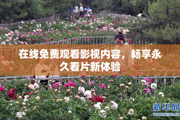 在线免费观看影视内容，畅享永久看片新体验
