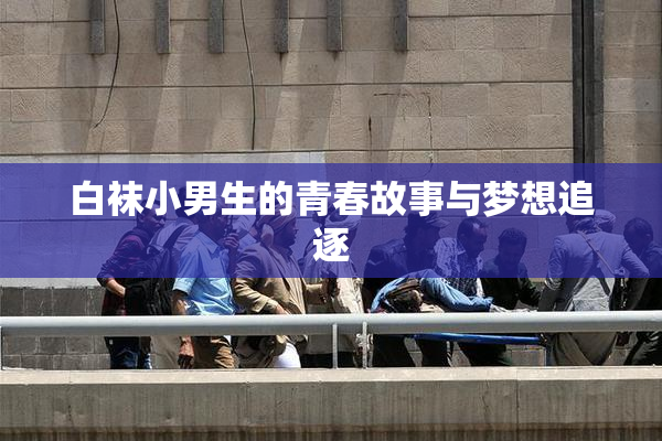 白袜小男生的青春故事与梦想追逐