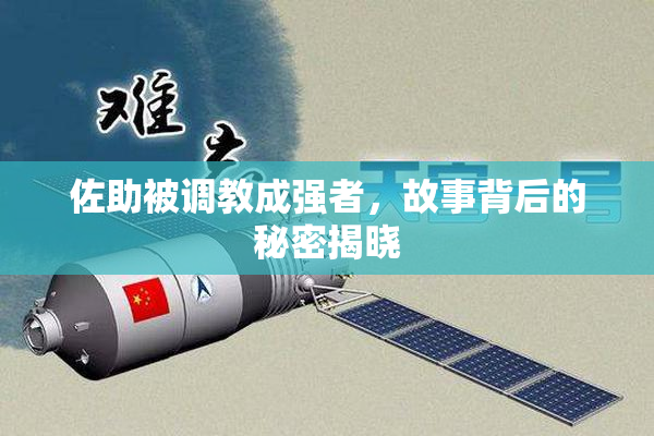 佐助被调教成强者，故事背后的秘密揭晓