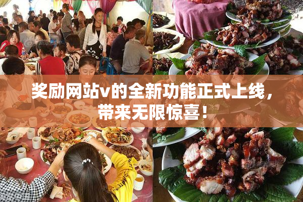 奖励网站v的全新功能正式上线，带来无限惊喜！