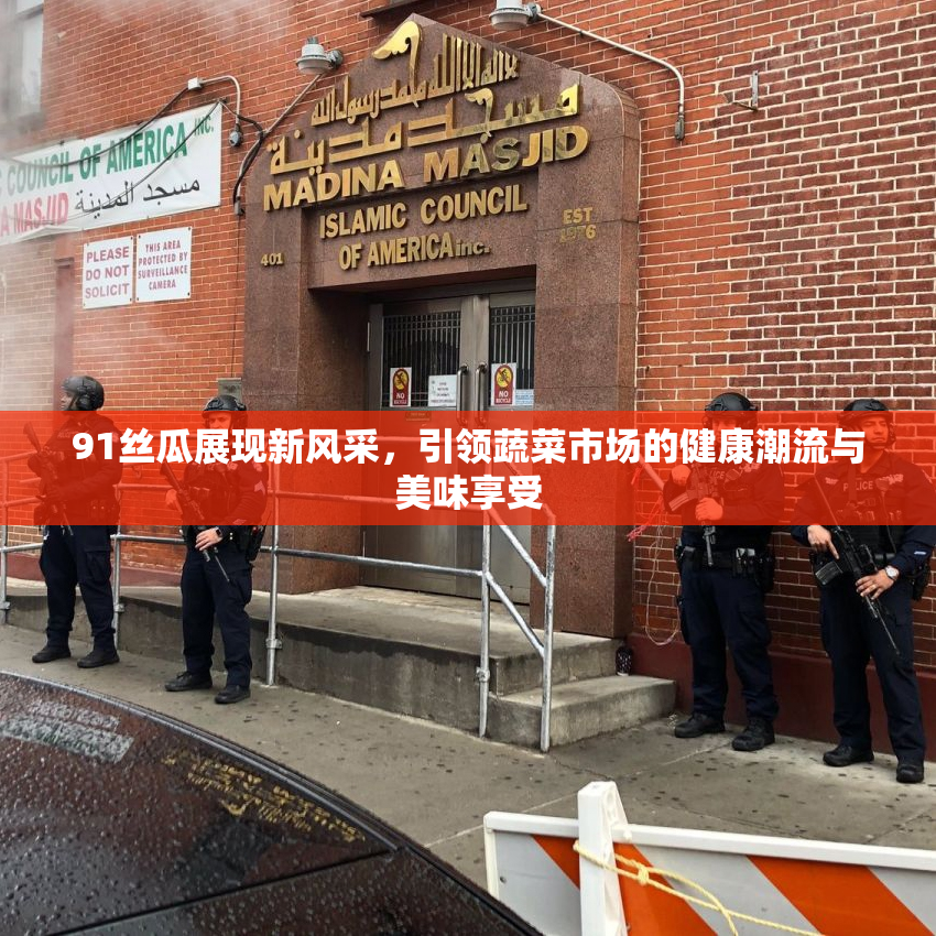 91丝瓜展现新风采，引领蔬菜市场的健康潮流与美味享受