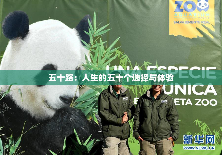 五十路：人生的五十个选择与体验