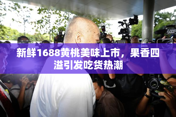 新鲜1688黄桃美味上市，果香四溢引发吃货热潮