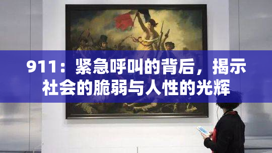 911：紧急呼叫的背后，揭示社会的脆弱与人性的光辉
