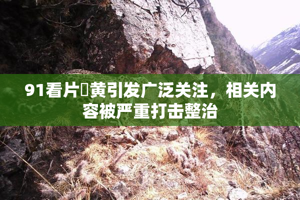 91看片婬黄引发广泛关注，相关内容被严重打击整治