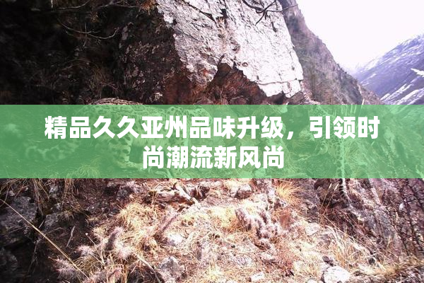 精品久久亚州品味升级，引领时尚潮流新风尚