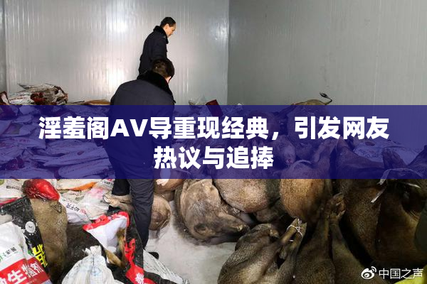 淫羞阁AV导重现经典，引发网友热议与追捧
