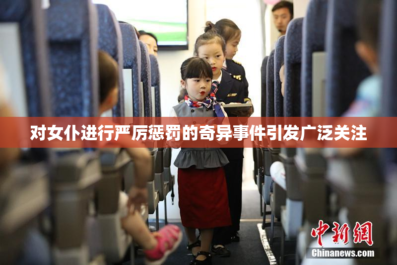 对女仆进行严厉惩罚的奇异事件引发广泛关注