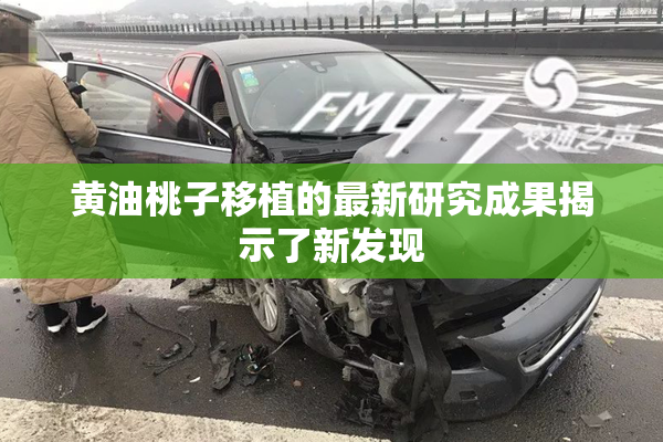 黄油桃子移植的最新研究成果揭示了新发现