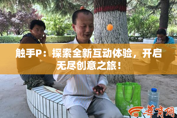 触手P：探索全新互动体验，开启无尽创意之旅！