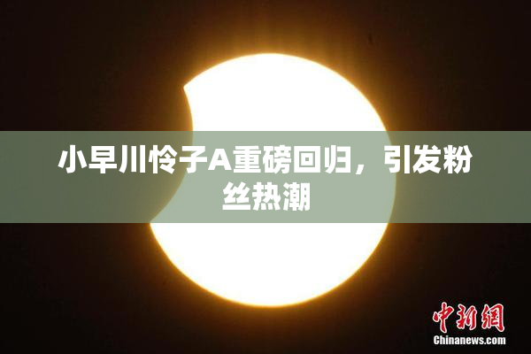 小早川怜子A重磅回归，引发粉丝热潮