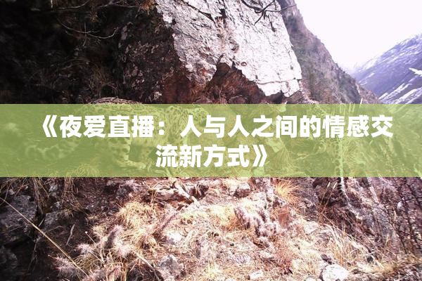 《夜爱直播：人与人之间的情感交流新方式》