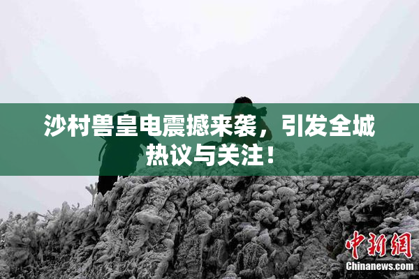 沙村兽皇电震撼来袭，引发全城热议与关注！