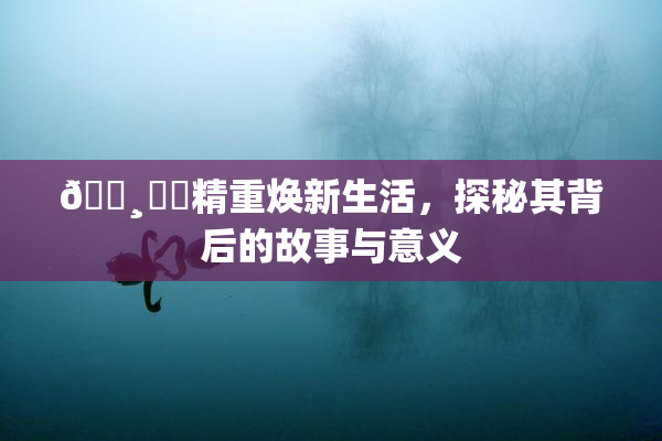 🌸‌✿精重焕新生活，探秘其背后的故事与意义