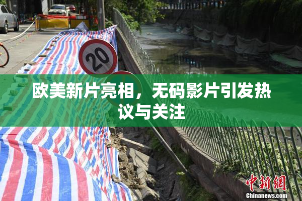 欧美新片亮相，无码影片引发热议与关注