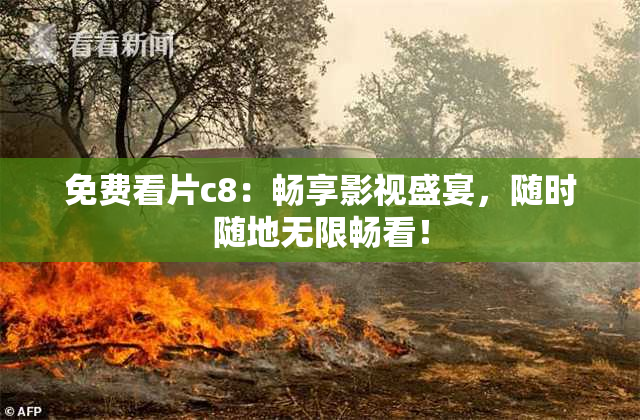 免费看片c8：畅享影视盛宴，随时随地无限畅看！