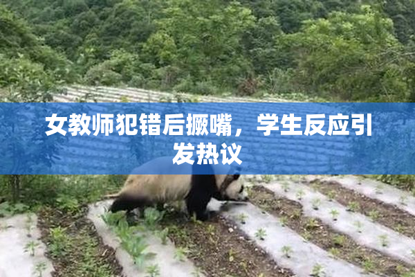 女教师犯错后撅嘴，学生反应引发热议