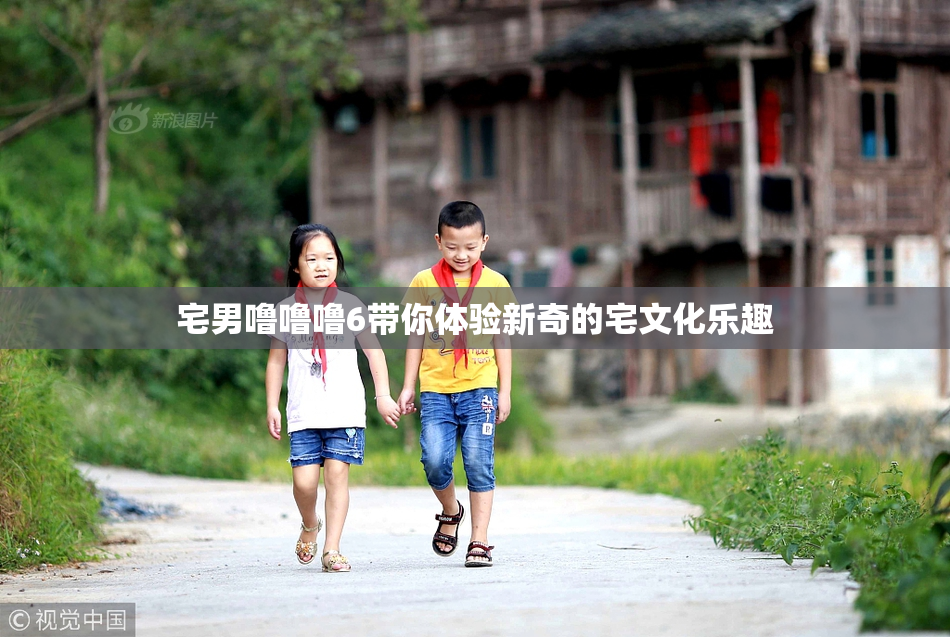 宅男噜噜噜6带你体验新奇的宅文化乐趣