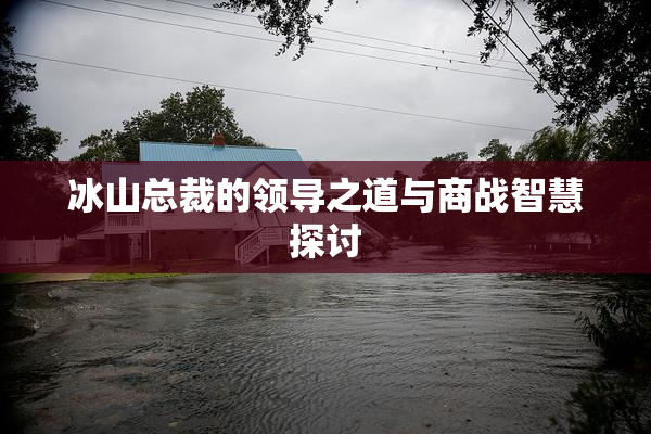 冰山总裁的领导之道与商战智慧探讨