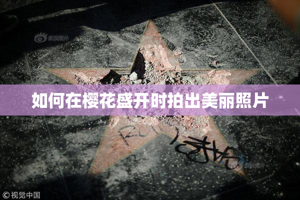 如何在樱花盛开时拍出美丽照片