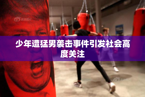 少年遭猛男袭击事件引发社会高度关注