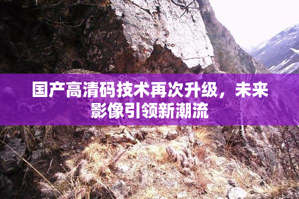 国产高清码技术再次升级，未来影像引领新潮流
