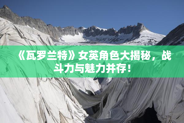 《瓦罗兰特》女英角色大揭秘，战斗力与魅力并存！